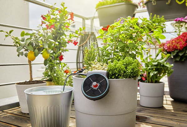 PROGRAMADOR RIEGO KIT AQUABLOOM GARDENA -